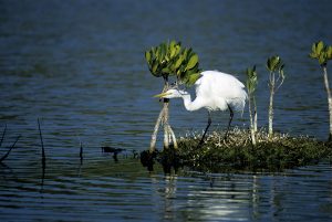 Hi Def Photo Imaging on Cape Cod